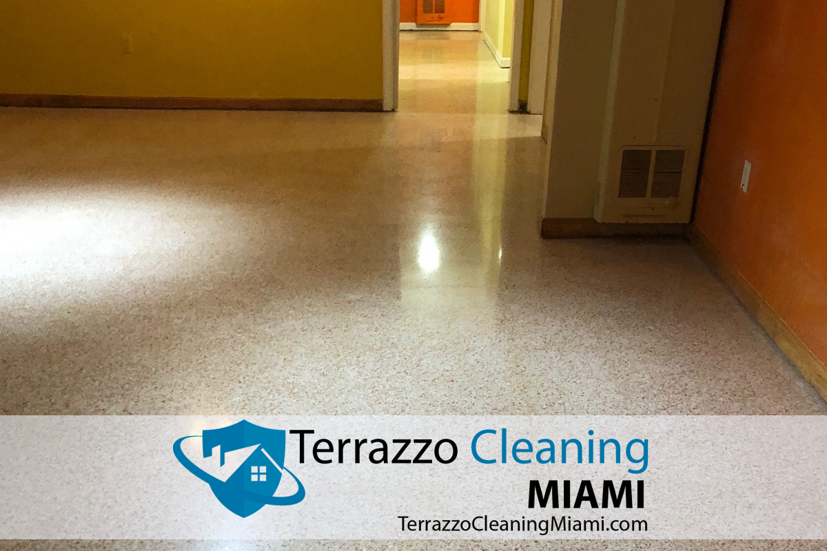 Terrazzo Damage Care Service Miami