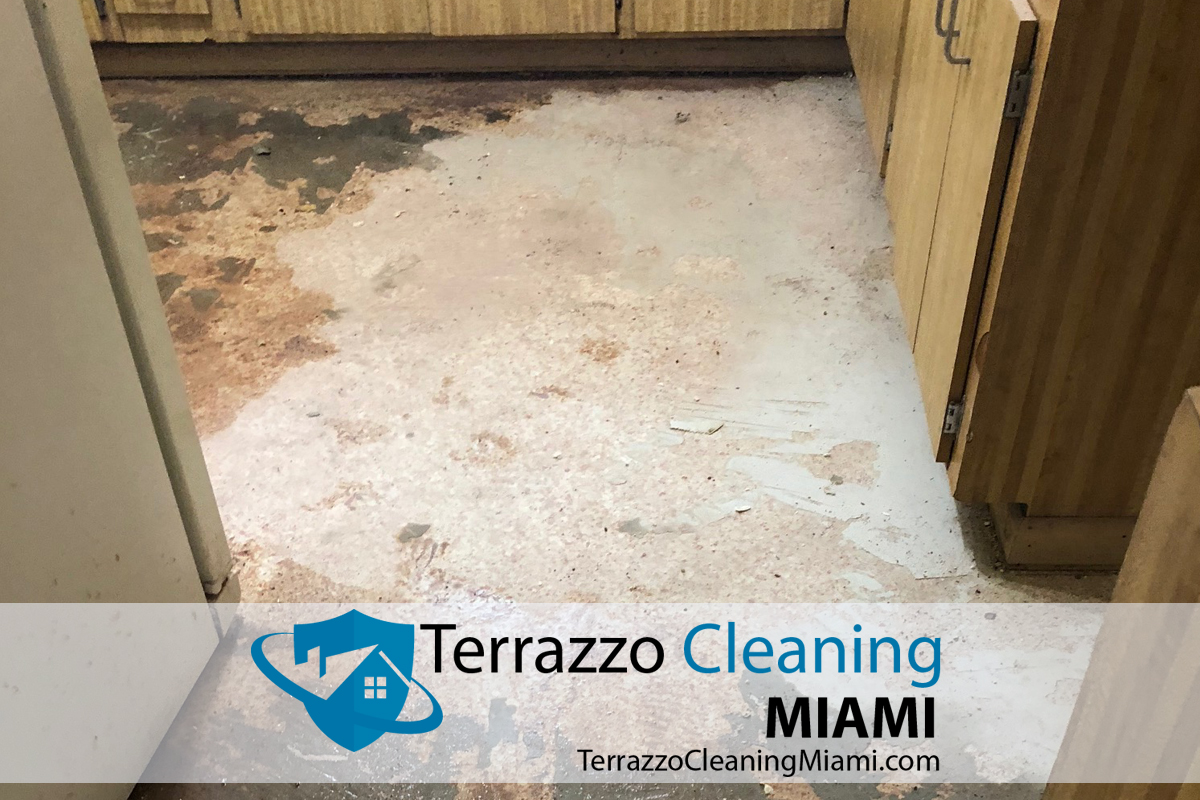 Terrazzo Floor Restoring Service Miami