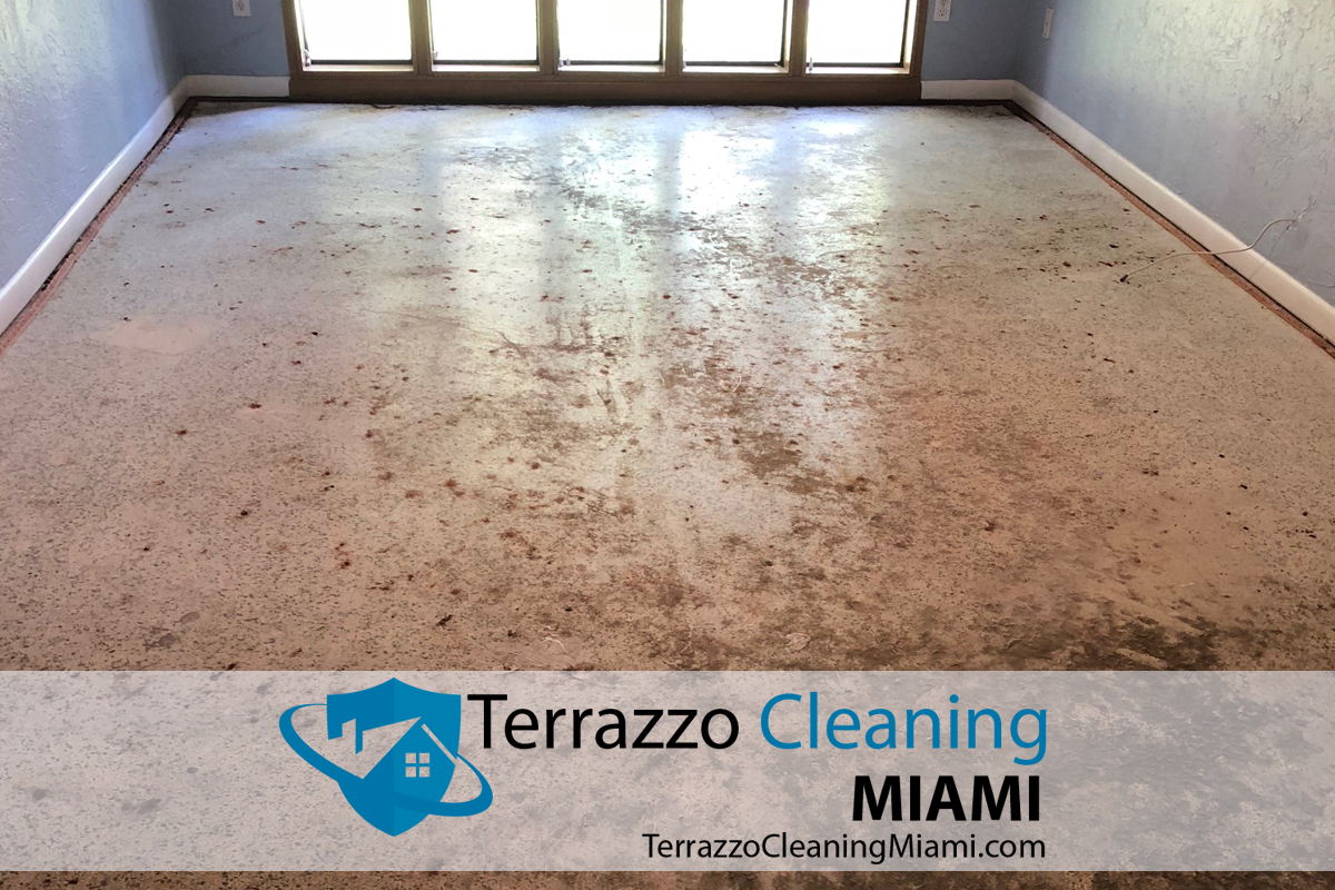 Terrazzo Restoration Process Miami